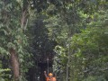 Tn DSC 4295